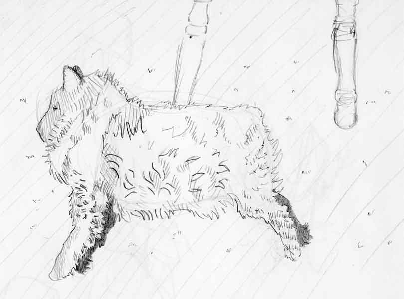 sketch:Spazzy my cat